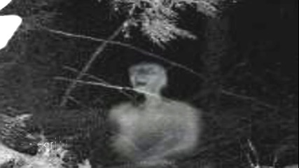В гората на Пенсилвания е заснет извънземен