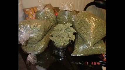 Top Cat - Ganja Smoker
