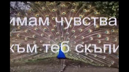 Bg Превод - Rednex - Wish you were here (искам да си тук)