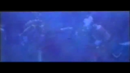 Acid Queen - Dreamseller(crop)