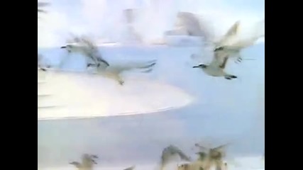 Gloria Estefan - Виждам Усмивката Ти [hd]