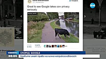 СПОРЕД GOOGLE: Кравите имат право на лична неприкосновеност