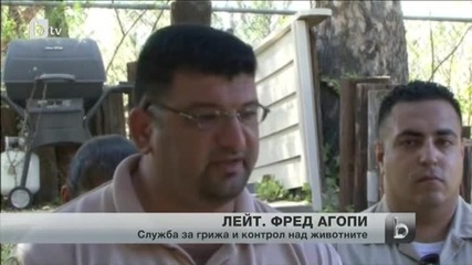 Властите в Лос Анджелис заловиха избягала кобра албинос