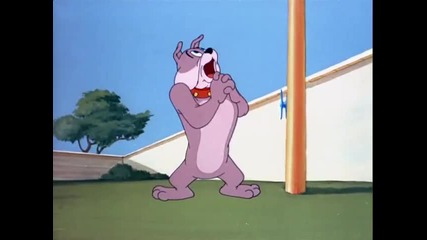 Tom And Jerry - 076 - Thats My Pup (1953)