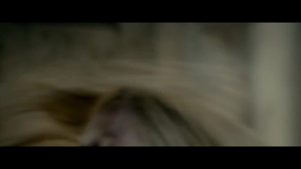Avril Lavigne - Wish You Were Here
