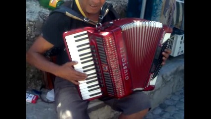 Bosanski lip muzicar 2