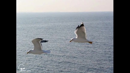 Hawks - Iskam Pak ( Na Moreto ) 2o10. Sumer hit