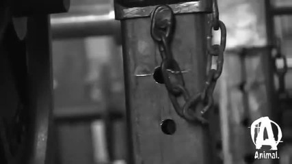 Evan Centopani - Journey to the Arnold, Pt. 2
