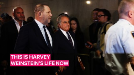 An update exactly two years after Harvey Weinstein's firing