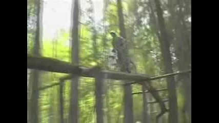 Roam Downhill Bike Riding Descent
