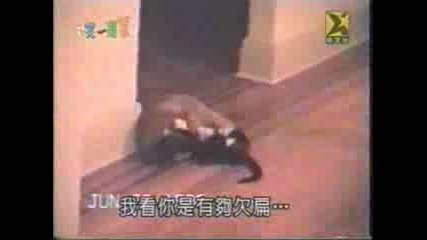 Funny Animals :d