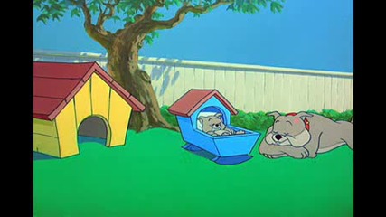 Tom And Jerry