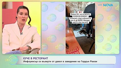 Инфлуенсър се възмути от дакел в заведение на Гордън Рамзи | На кафе | 7 май 2026