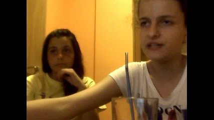 dimitrova_vlogowe_1