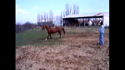 14.III.2004 - Мери на корда