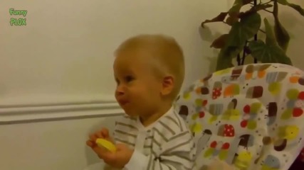 Компилация Смях !.. Babies Eating Lemons for the First Time Compilation
