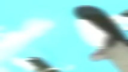 Naruto Amv [ Bring It On Home ]