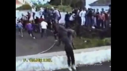 Лудо гонене с бик
