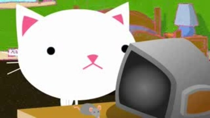 Cat Face 13.flv