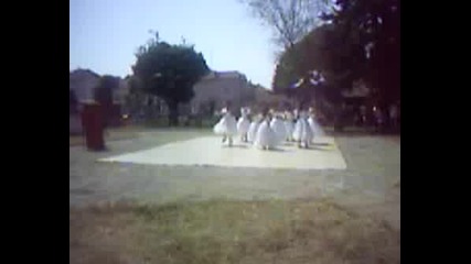 Pic0001.avi