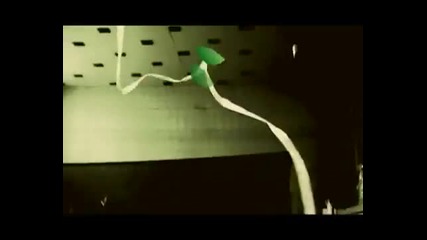 Дони и Нети - Искаш ли