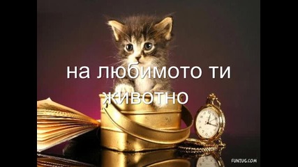 к о н к у р с ч е
