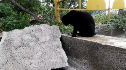 Vid_20150822_160415