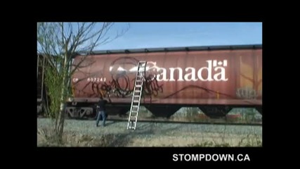 Stevie Wonder Sdk - Stompdown Killaz