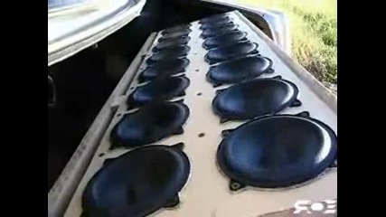 Bass