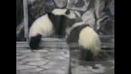Kung Fu Панди