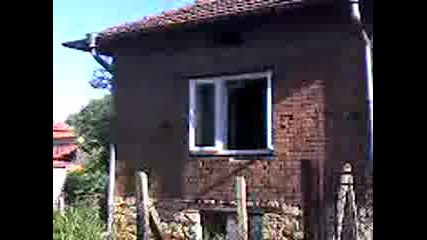 Crazy Video [1]