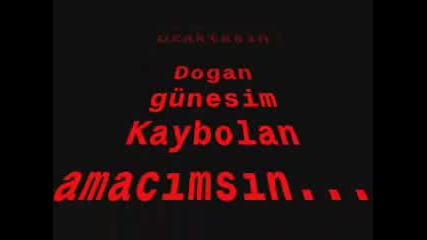 Seni Seviyorum 