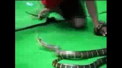 Man Fights Snake!