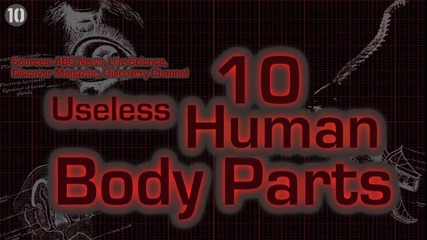 10-те Най безполезни части на човешкото тяло