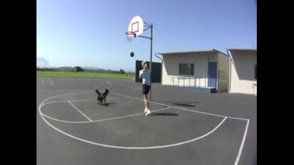 Талантливо куче играе баскетбол