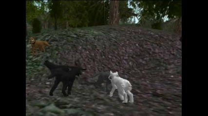 Timber Wilds Wolf
