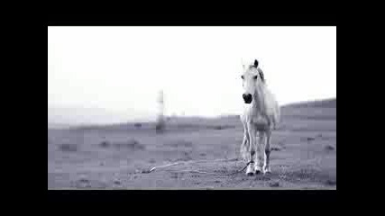 Любэ - Конь