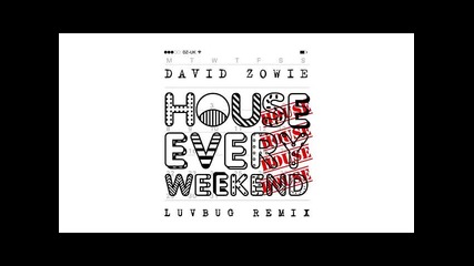 *2015* David Zowie - House Every Weekend ( Luvbug remix )