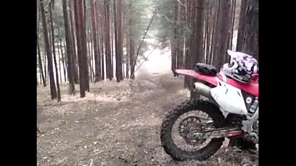 Sofrace - 1
