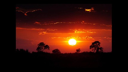Bassseeker-african Sunrise