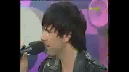 Us5 Viva Live 24.10.08 [prqsno xd]