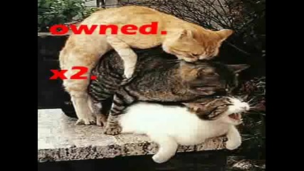 Funny Fail Moments