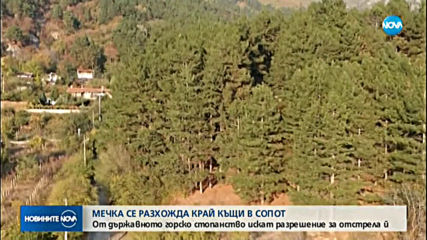 Мечка стресна жителите на Сопот