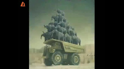 Смешни снимки 2 
