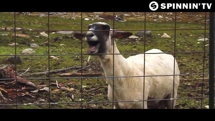 Harlem Shake Spinnin' Records Edition