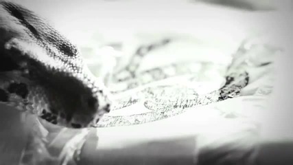 Pusha T – What Dreams Are Made Of