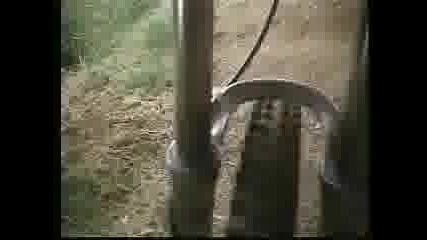 Rotorua 2005