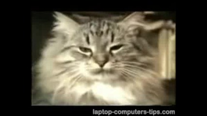 Пригответе Се За Много Смях