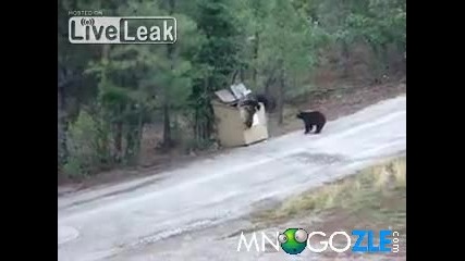 Малките пакостници
