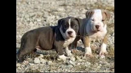 Untitled_0001